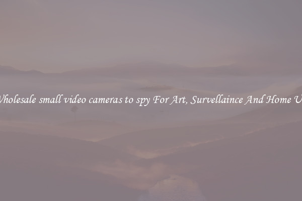 Wholesale small video cameras to spy For Art, Survellaince And Home Use