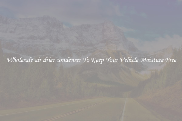 Wholesale air drier condenser To Keep Your Vehicle Moisture Free