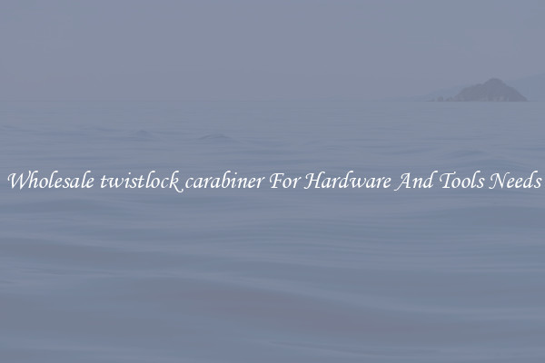 Wholesale twistlock carabiner For Hardware And Tools Needs