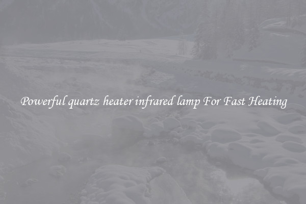 Powerful quartz heater infrared lamp For Fast Heating