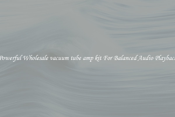 Powerful Wholesale vacuum tube amp kit For Balanced Audio Playback