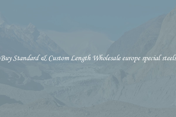 Buy Standard & Custom Length Wholesale europe special steels