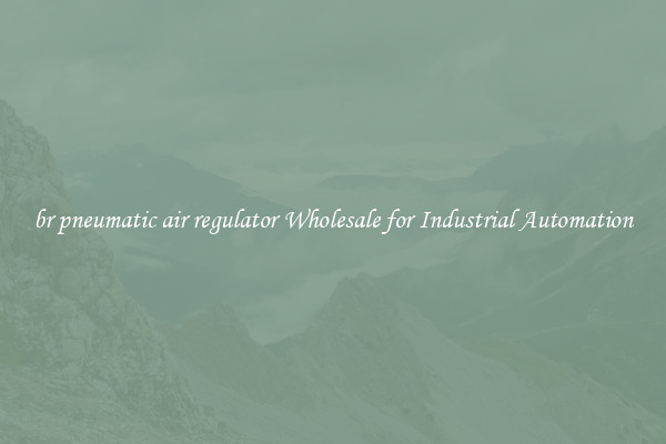  br pneumatic air regulator Wholesale for Industrial Automation 