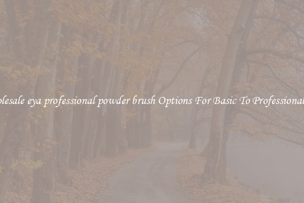Wholesale eya professional powder brush Options For Basic To Professional Use