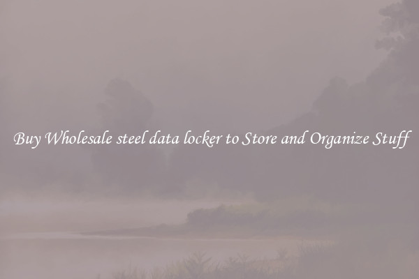 Buy Wholesale steel data locker to Store and Organize Stuff