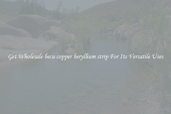 Get Wholesale becu copper beryllium strip For Its Versatile Uses