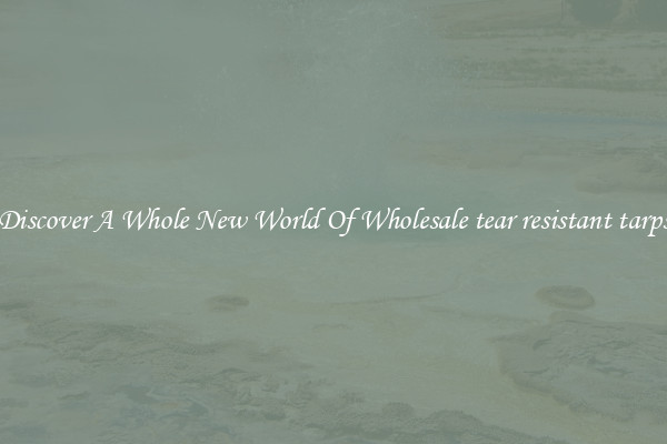 Discover A Whole New World Of Wholesale tear resistant tarps