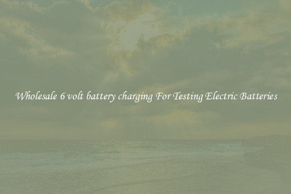 Wholesale 6 volt battery charging For Testing Electric Batteries