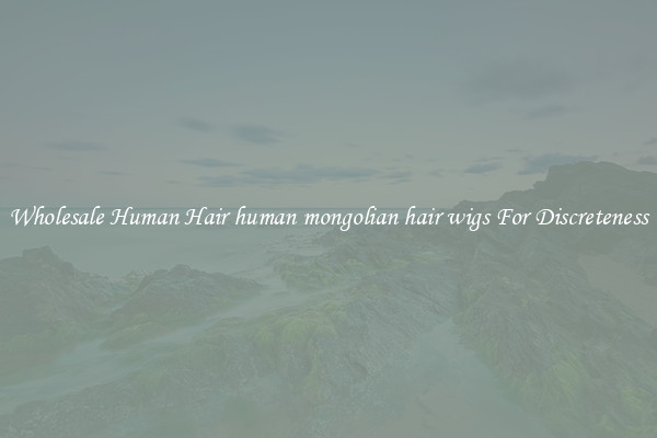 Wholesale Human Hair human mongolian hair wigs For Discreteness