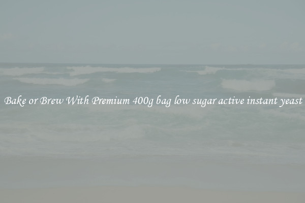 Bake or Brew With Premium 400g bag low sugar active instant yeast