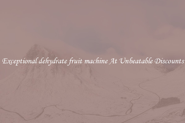 Exceptional dehydrate fruit machine At Unbeatable Discounts