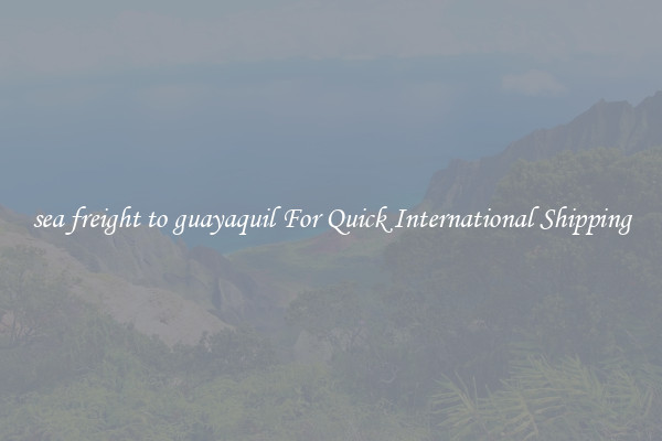 sea freight to guayaquil For Quick International Shipping