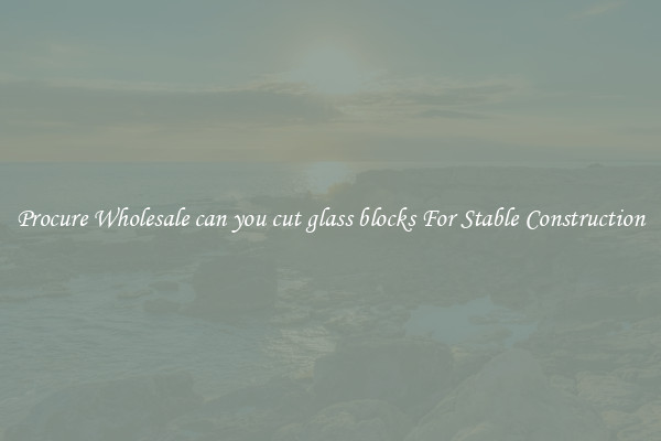 Procure Wholesale can you cut glass blocks For Stable Construction