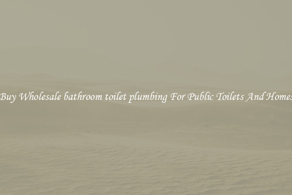 Buy Wholesale bathroom toilet plumbing For Public Toilets And Homes