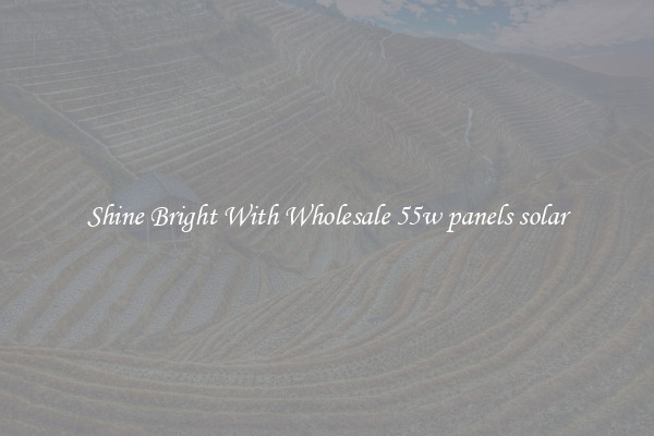 Shine Bright With Wholesale 55w panels solar