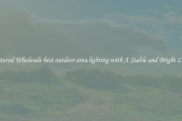 Featured Wholesale best outdoor area lighting with A Stable and Bright Light