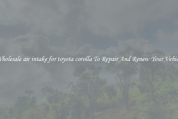 Wholesale air intake for toyota corolla To Repair And Renew Your Vehicle